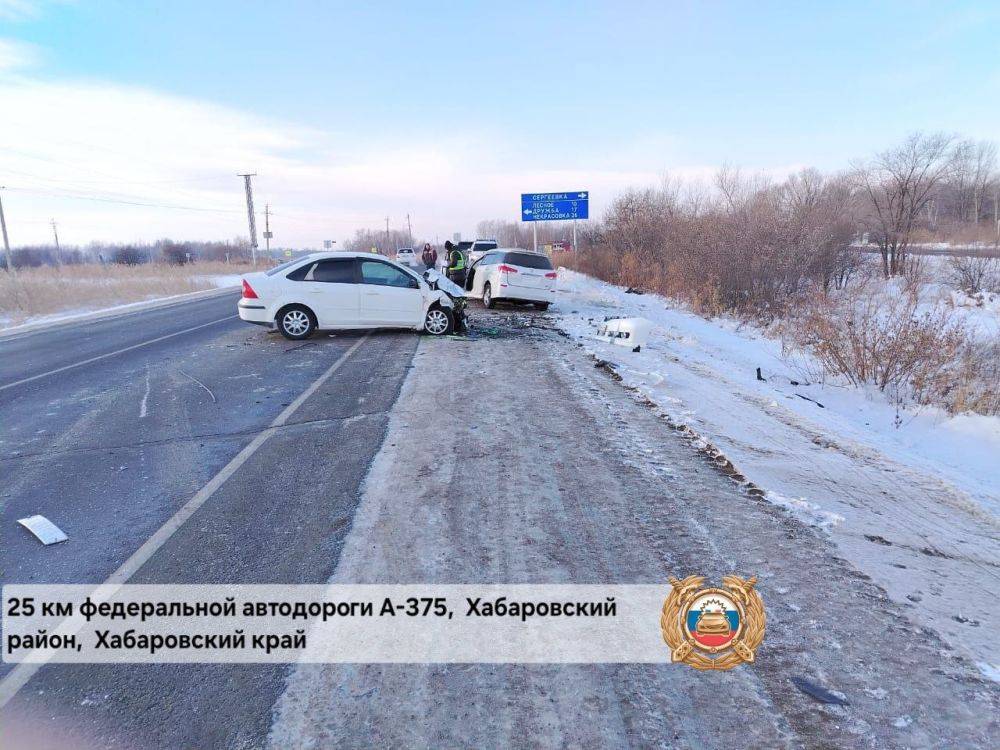 Мужчина скончался в ДТП в Хабаровском районе