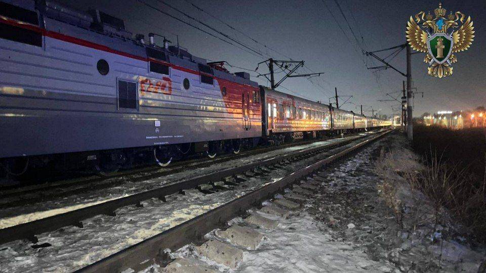 В Хабаровском крае пассажирский поезд «Москва-Владивосток» врезался в снегоход