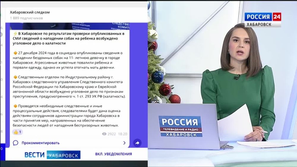 Очередное нападение бродячих собак в Хабаровске: пострадала 11-летняя девочка