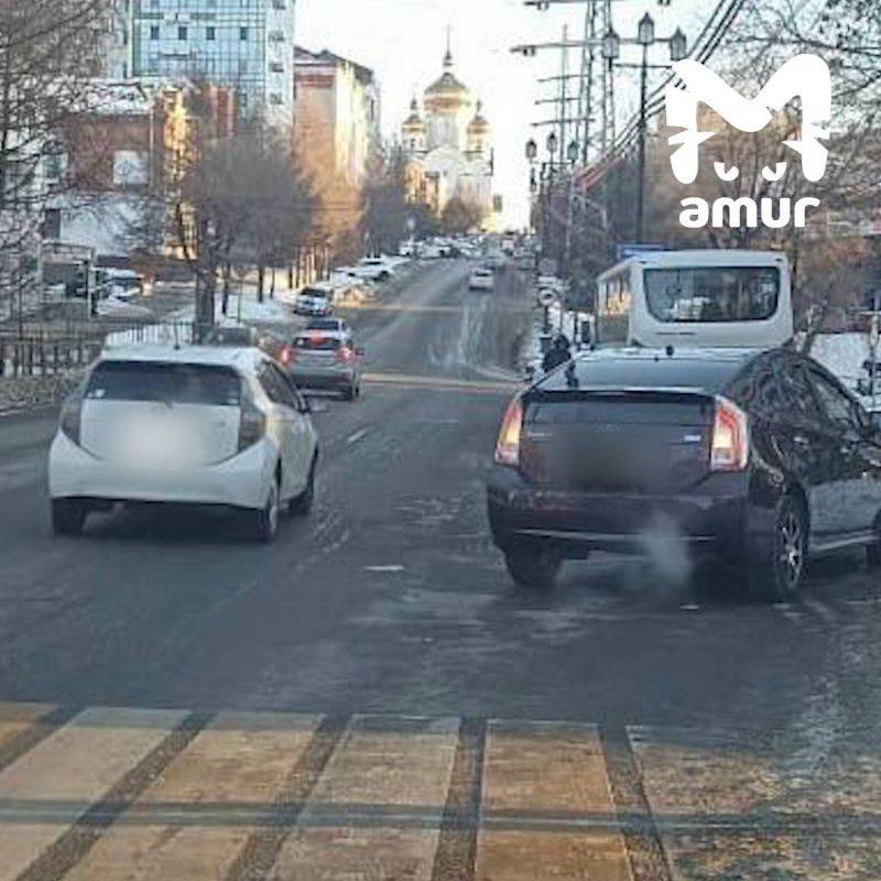 Косулю сбили в центре Хабаровска