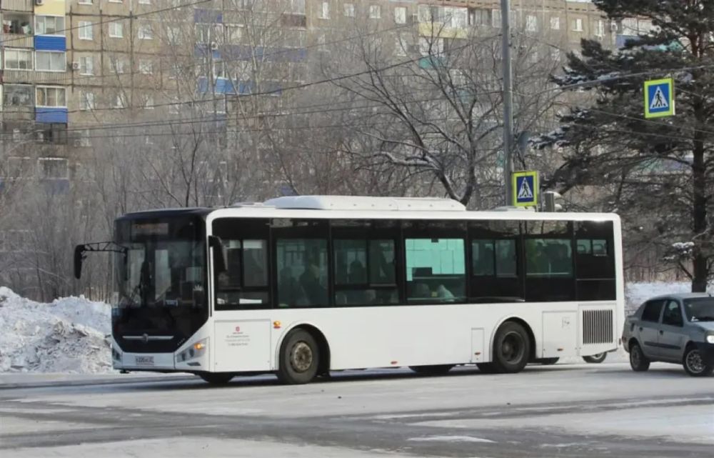 Жителей Хабаровского края обеспечат транспортом на новогодних праздниках