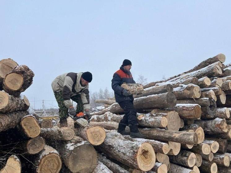 Семьям бойцов СВО в Еврейской автономии помогут дровами