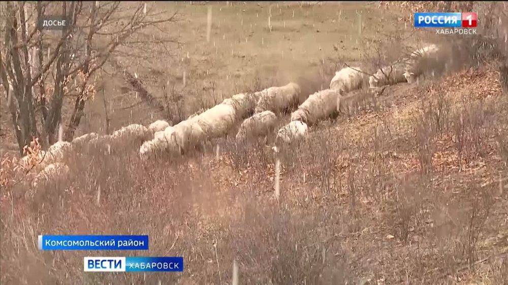 В Комсомольске-на-Амуре попрощались с хозяином «Мишкиной берлоги» Михаилом Филипповым