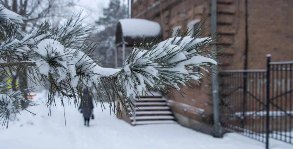 В Хабаровске ликвидировали последствия снегопада, который пришел в краевой центр на прошлой неделе