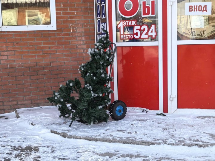 Дед Мороз на ослике и оливье с копченой рыбой: как в Хабаровске отметили Новый год китайские торговцы с Выборгской2