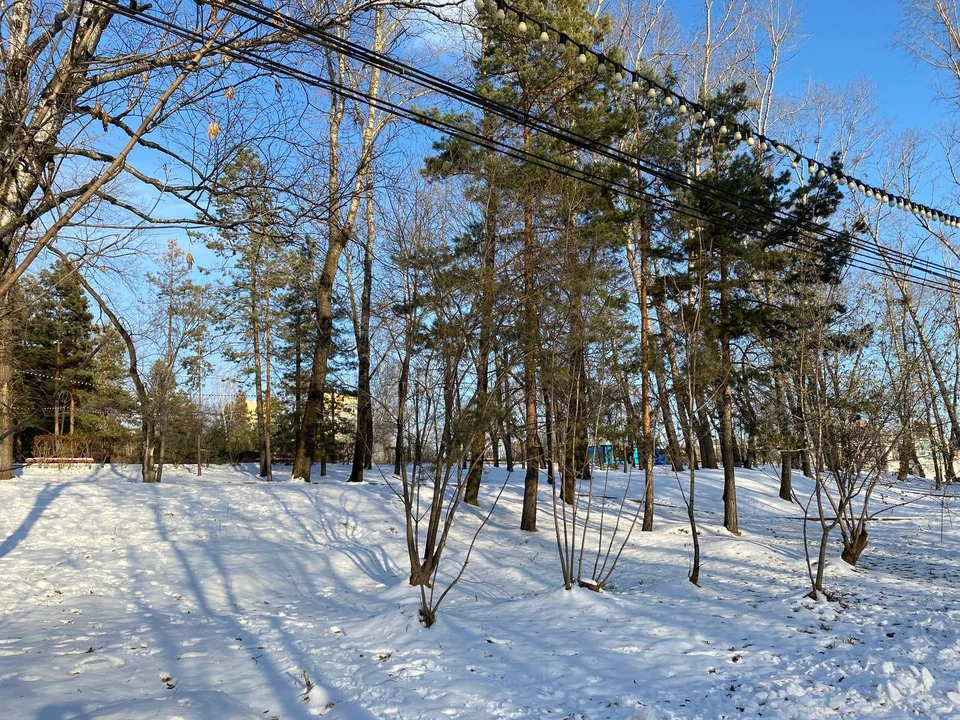 Погода без осадков ожидается в Хабаровском крае 3 января0