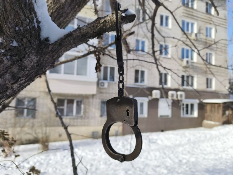 Собирался взорвать железную дорогу: в Амурской области поймали диверсанта