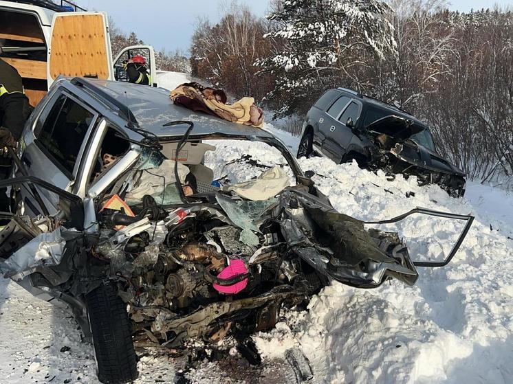 В Приамурье ищут свидетелей жуткого ДТП на трассе Благовещенск - Свободный