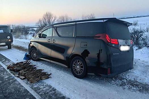 В Приамурье хабаровские браконьеры чуть не задавили охотинспектора