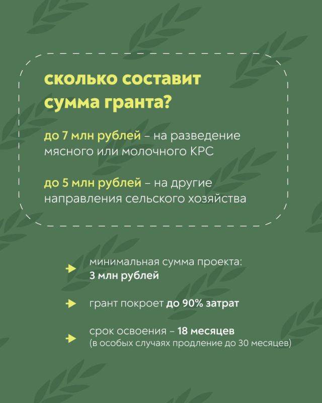 Грант «Агромотиватор». С этого года участники и ветераны специальной военной операции могут получить до 7 млн рублей на запуск или развитие своего дела в сельском хозяйстве