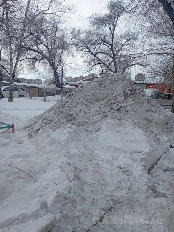 Ты туда не ходи, или Как безопасно пройти по заснеженному Хабаровску