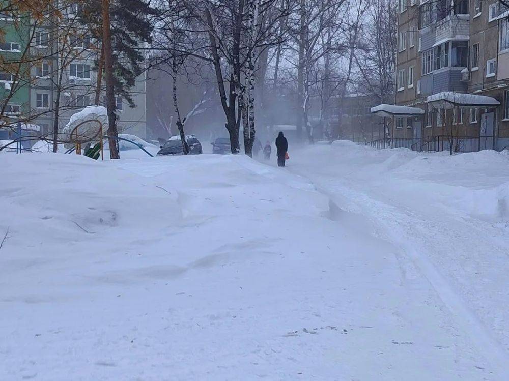 На юг Хабаровска налетел шквалистый ветер