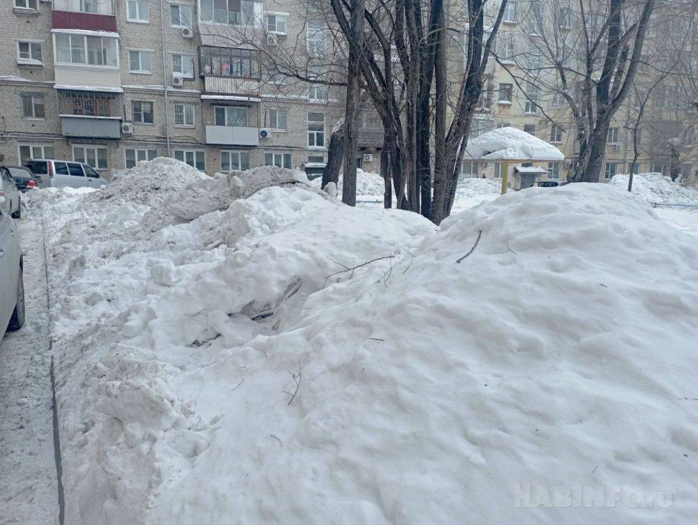 Ты туда не ходи, или Как безопасно пройти по заснеженному Хабаровску