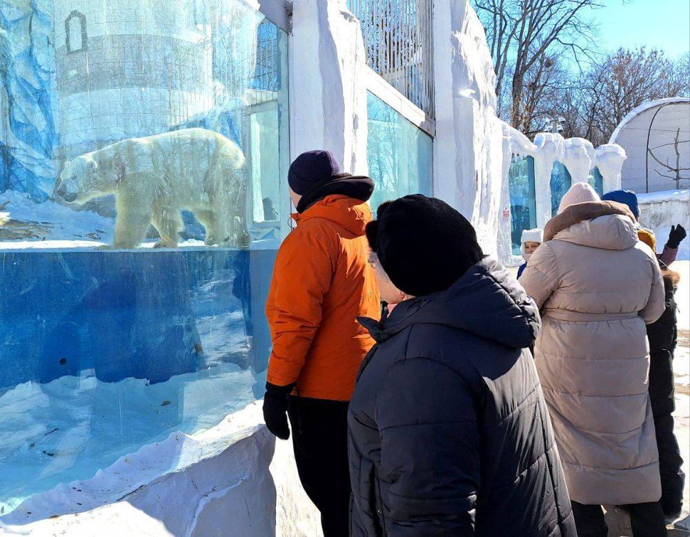 #ПозывнойКультура: Зоосад «Приамурский» им. Сысоева организовал праздник в поддержку участников СВО