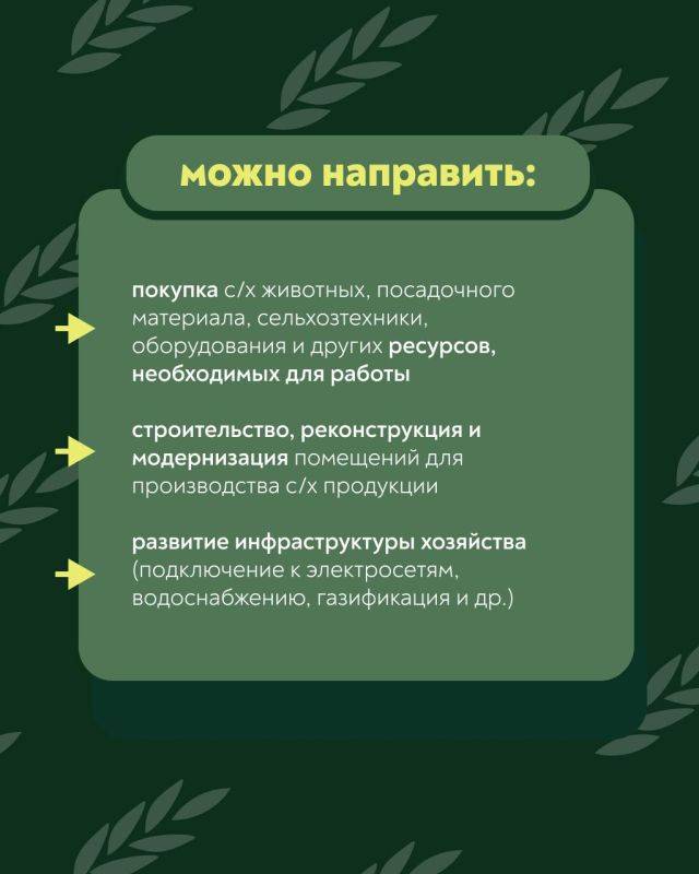 Грант «Агромотиватор». С этого года участники и ветераны специальной военной операции могут получить до 7 млн рублей на запуск или развитие своего дела в сельском хозяйстве