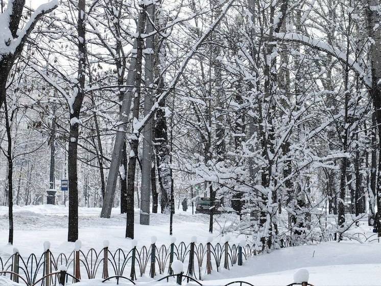 Для движения автобусов введено ограничение на трассе Хабаровск - Комсомольск-на-Амуре