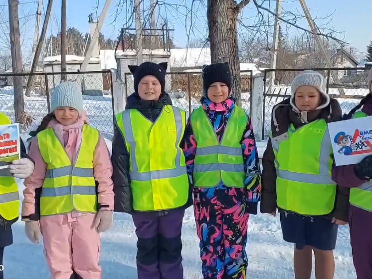 Госавтоинспекция провела профилактическое мероприятие в честь 23 февраля в Хабаровском крае