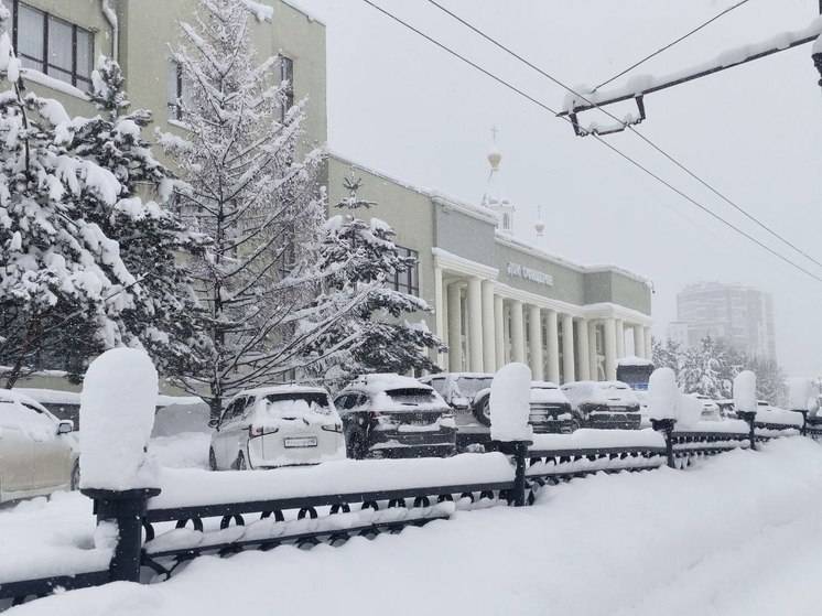 Хабаровчанам-водителям напомнили о важности соблюдения дистанции на дороге в снежную погоду