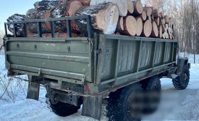 Очередного лесоруба поймали в одном из лесничеств Амурской области1