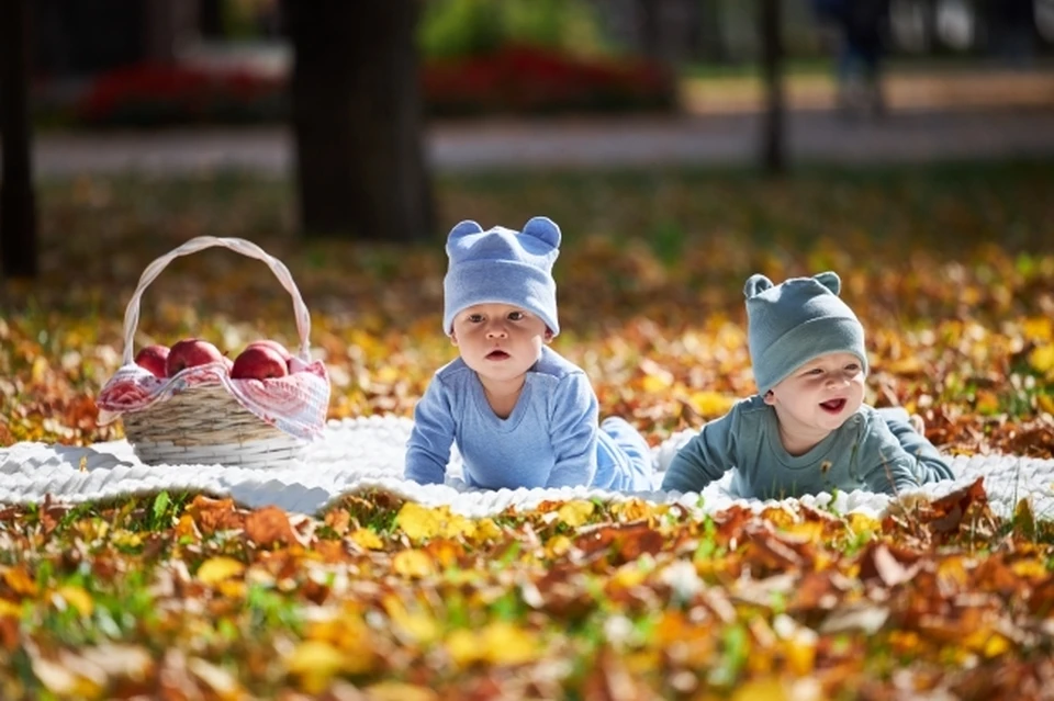 Первой двойней в ЕАО стала «королевская»0