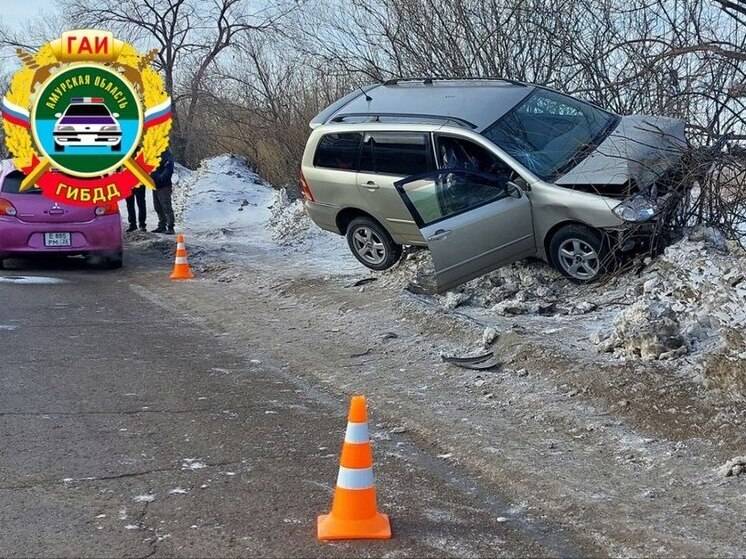 В Благовещенске машина врезалась в дерево, водитель скончался