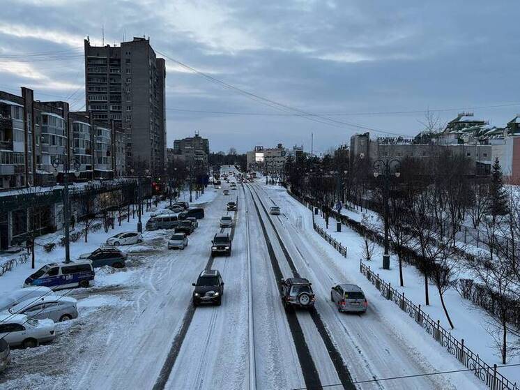 В Хабаровске 23 февраля днем будет не меньше -9 градусов без осадков