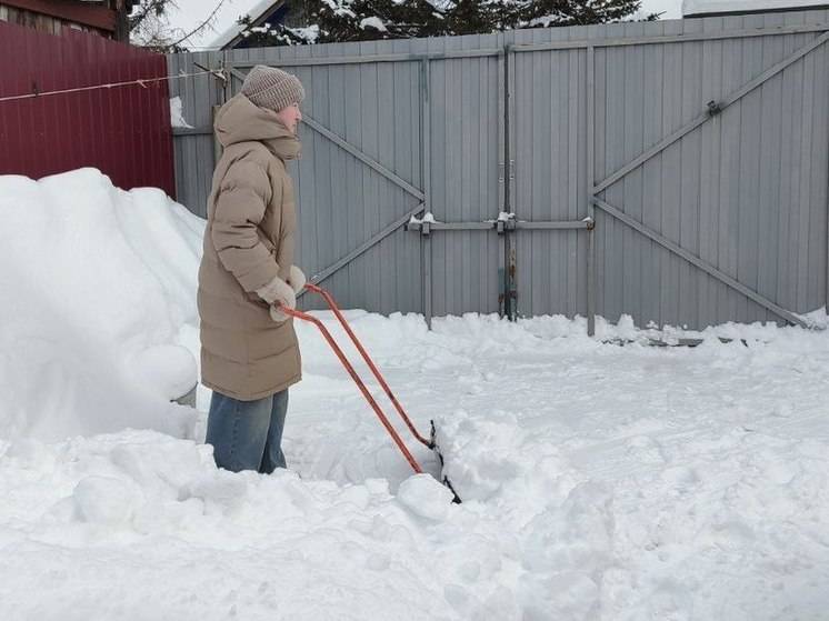 В Хабаровске «снежная команда» добровольцев помогла семье участника СВО