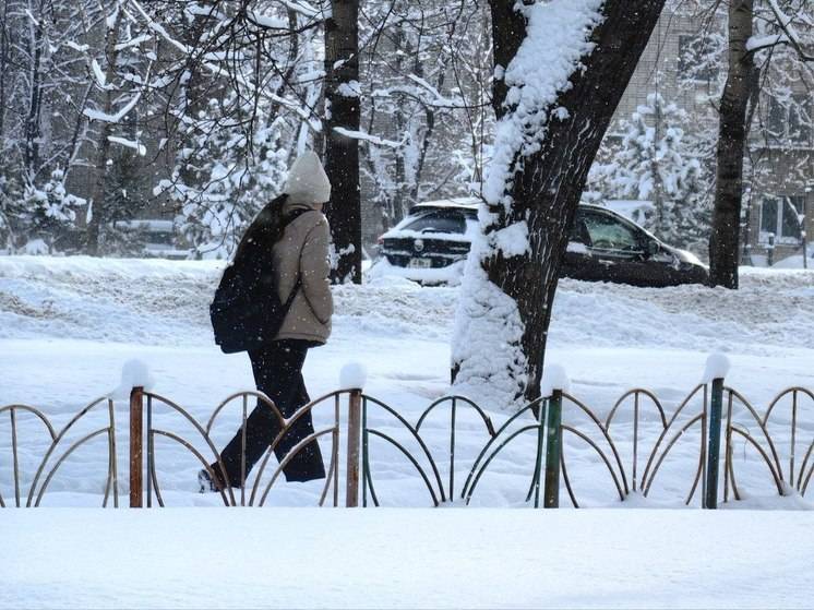 Волонтеры, студенты и ветераны выходят на борьбу со снежной стихией в Хабаровске