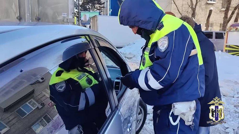 Хабаровские полицейские выявили мигрантов, незаконно осуществляющих трудовую деятельность в такси