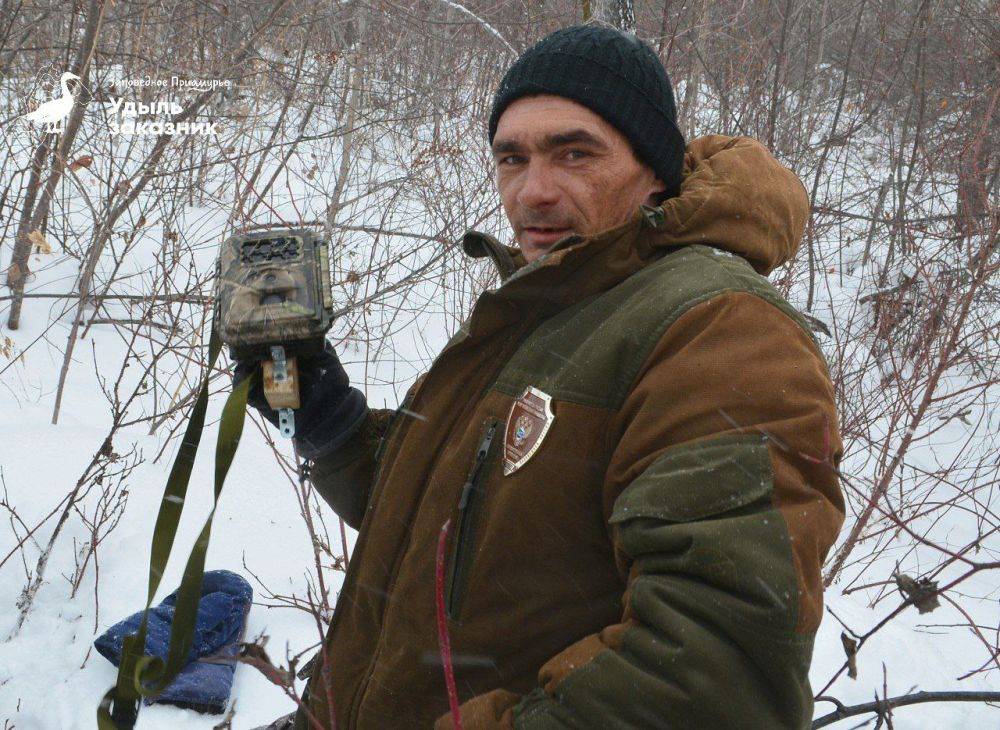 Сотрудники Комсомольского заповедника наблюдают за прилетевшими в родные края белоплечими орланами