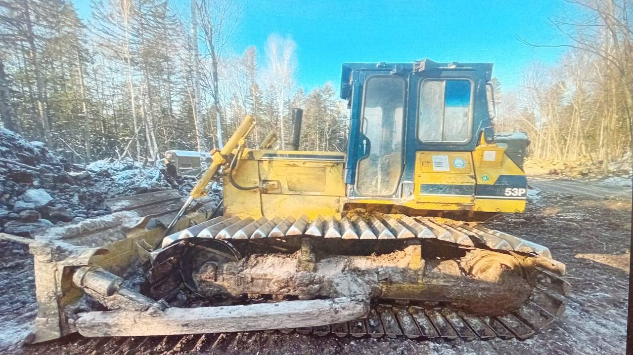 Житель Нанайского района предстанет перед судом за незаконную рубку деревьев