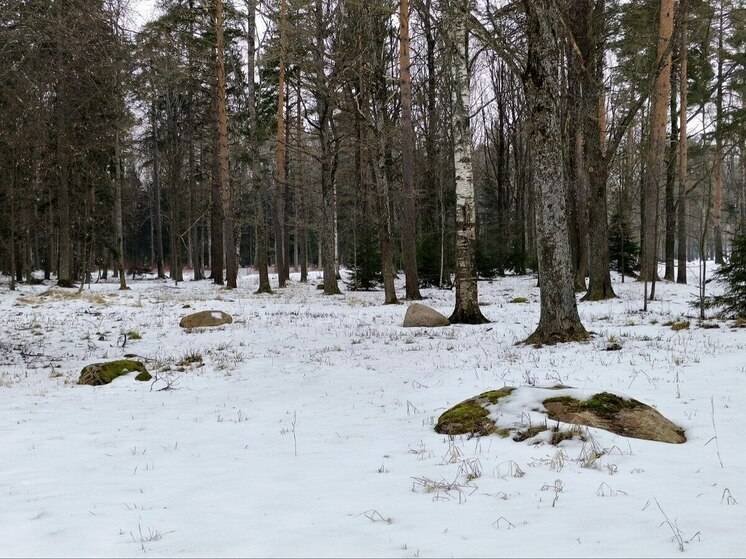 600 тысяч заплатят охотники за косулю в Амурской области