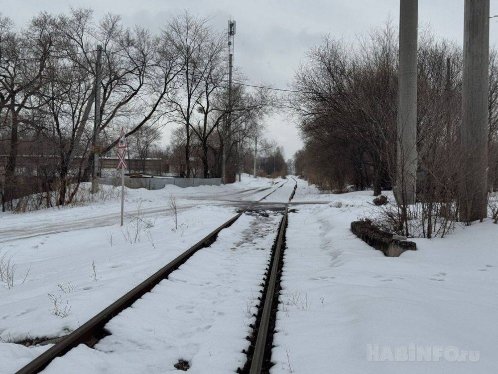 Зима не хочет покидать Хабаровск