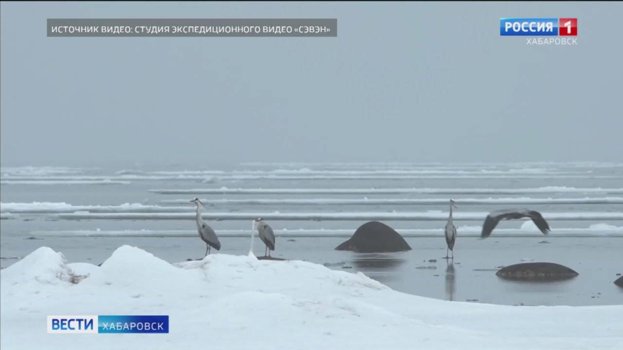 Фильм хабаровской студии признан лучшим на международном фестивале туристического кино