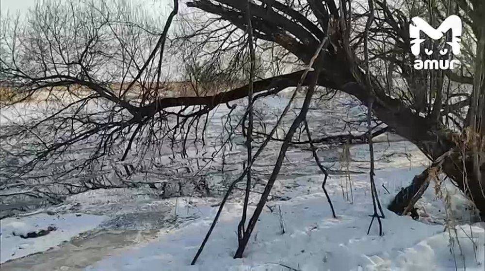 Фекальное озеро разлилось на огородах в пригороде Хабаровска