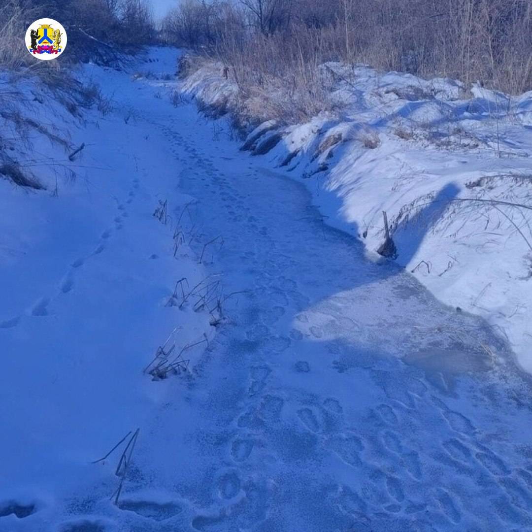 На аппаратном совещании мэр Хабаровска поручил председателям комитетов по управлению районами и управлению по делам ГО и ЧС усилить работу по мониторингу малых рек