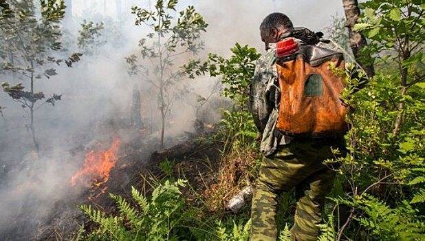 Более 2 тыс. га леса сгорело за сутки на Дальнем Востоке