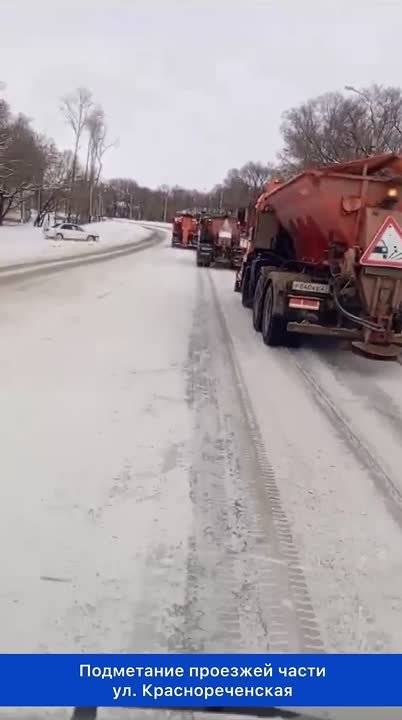 Дневная очистка. Сводка