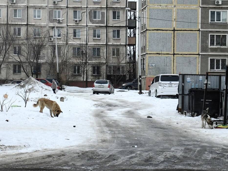 Самая жуткая, самая мрачная: о чем еще расскажет Пятая площадка в Хабаровске