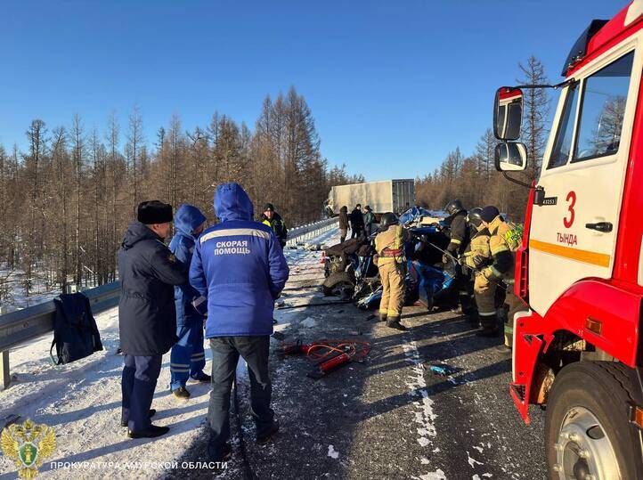 Двое человек погибли в ДТП у аэропорта Амурской области1