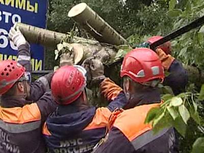 Хабаровск восстанавливается после удара хвоста "Чан-Хома"