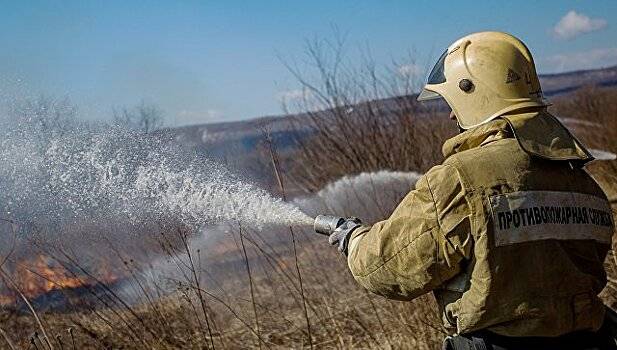 Лесам Хабаровского края грозит высокая опасность пожаров