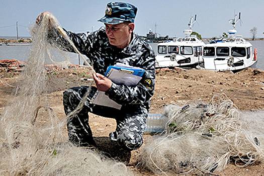 На Дальнем Востоке подвели итоги борьбы с браконьерами