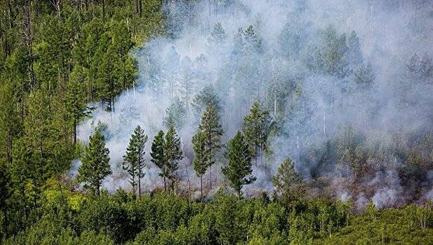 На Дальнем Востоке за сутки возникли 20 новых природных пожаров