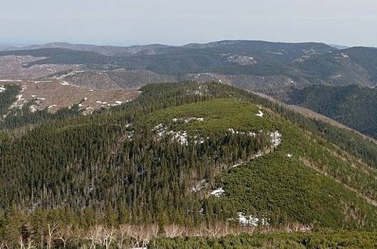 На «дальневосточных гектарах» собираются основать первое село