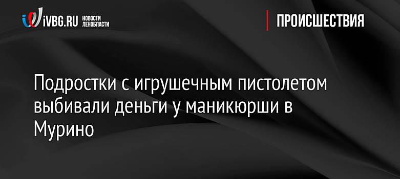 Подростки с игрушечным пистолетом выбивали деньги у маникюрши в Мурино