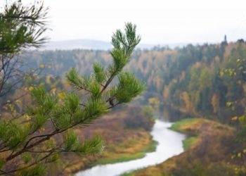 Природный парк "Шереметьевский" создан в Хабаровском крае