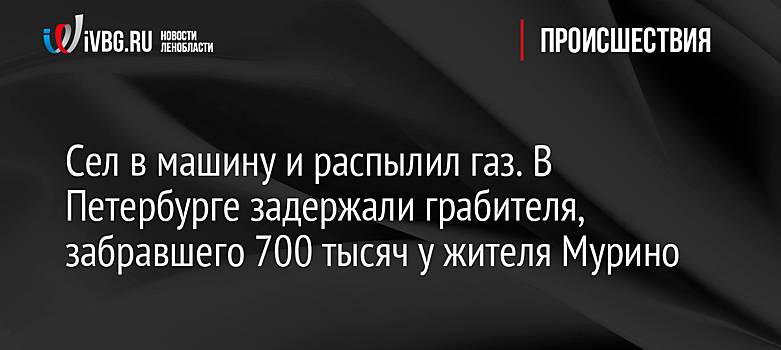 Сел в машину и распылил газ. В Петербурге задержали грабителя, забравшего 700 тысяч у жителя Мурино