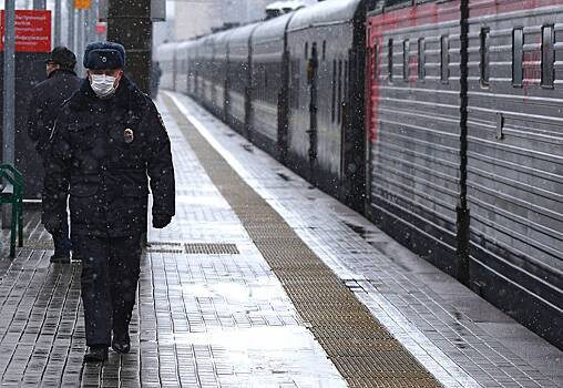 У пассажира поезда Москва — Владивосток изъяли два чемодана с наркотиками