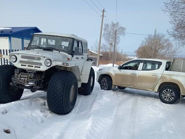 В Еврейской автономии получено разрешение на отлов конфликтного тигра